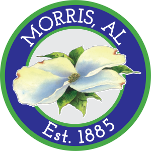 Town of Morris